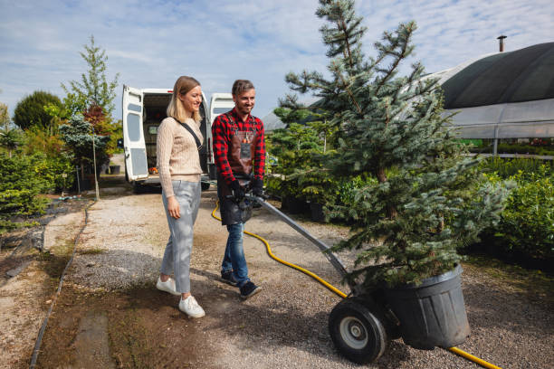 Best Storm Damage Tree Cleanup  in Estero, FL